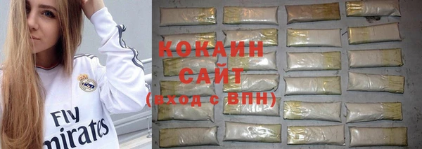 твердый Алзамай