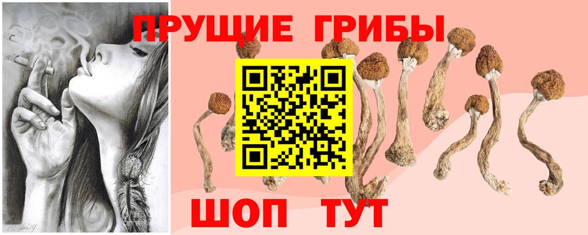 Псилоцибиновые грибы GOLDEN TEACHER Алушта